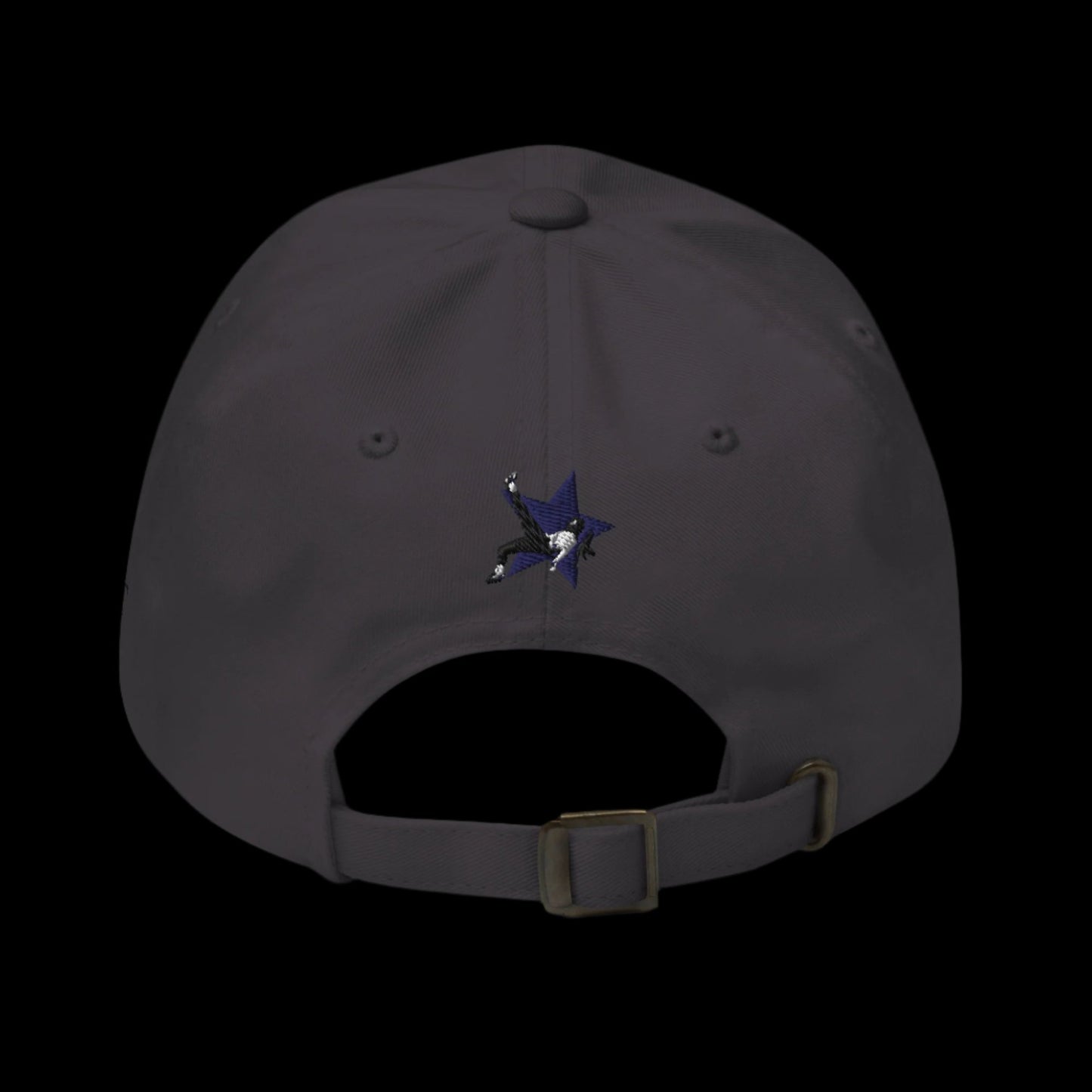 SKYBOUND HAT